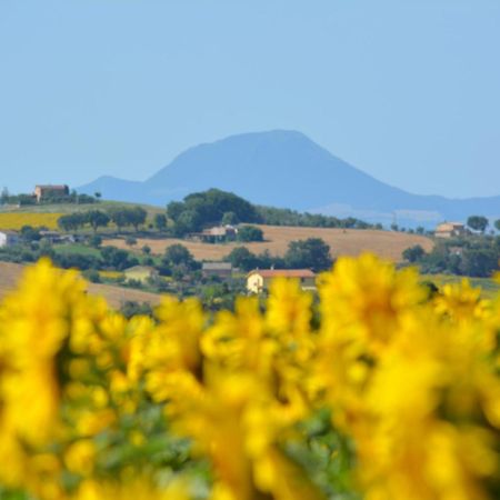 Casale Dei Cinque Colli Βίλα Ostra Εξωτερικό φωτογραφία