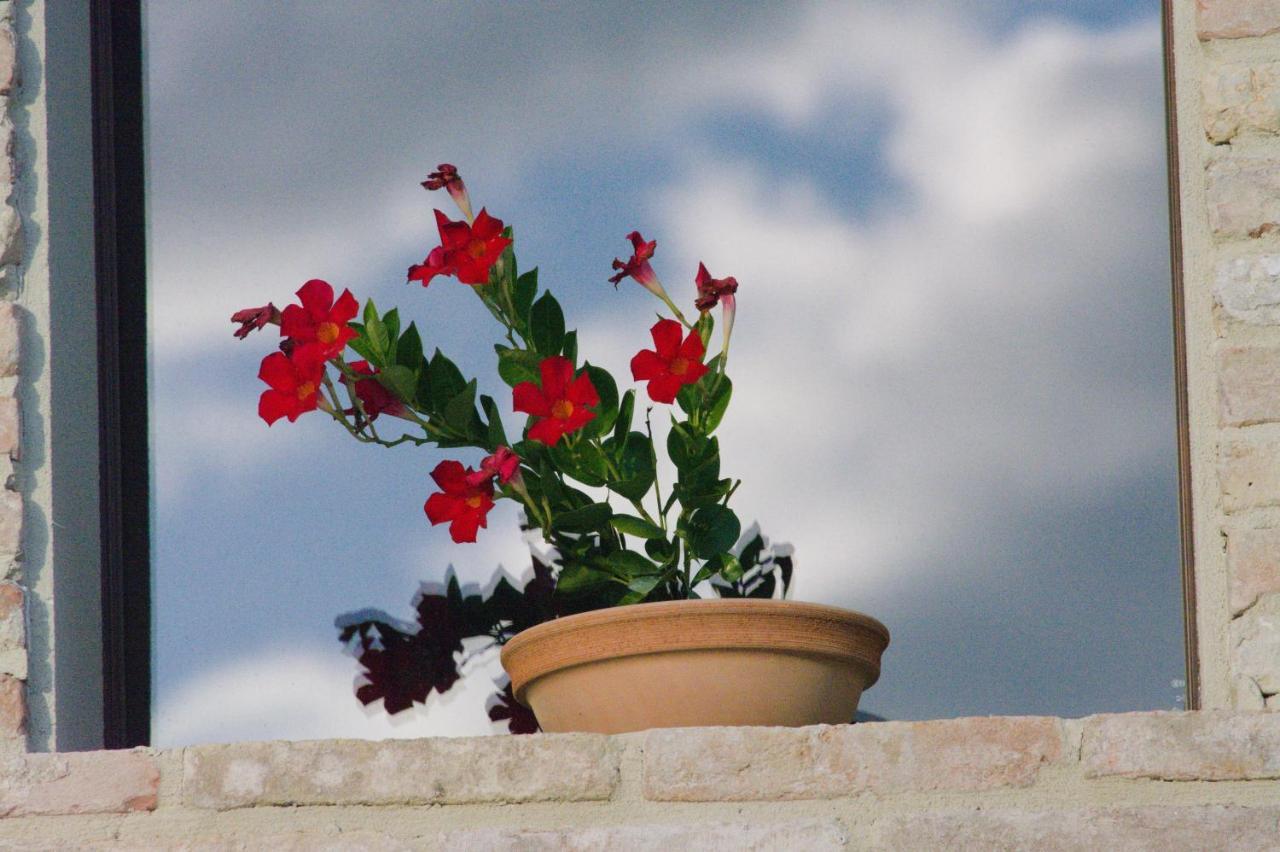 Casale Dei Cinque Colli Βίλα Ostra Εξωτερικό φωτογραφία