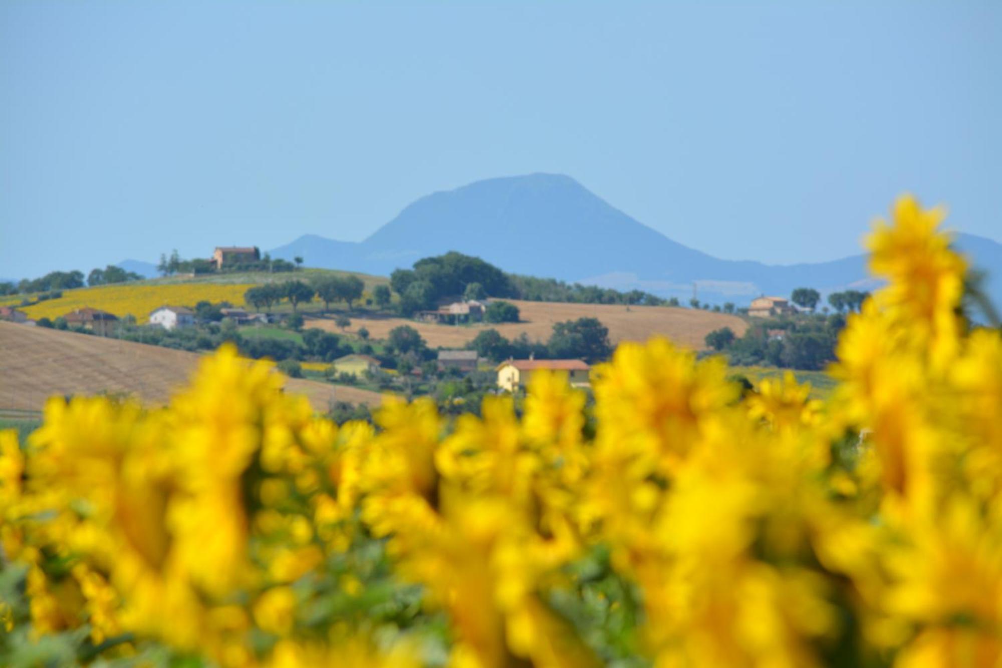 Casale Dei Cinque Colli Βίλα Ostra Εξωτερικό φωτογραφία
